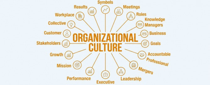 Culture Your Company Has One