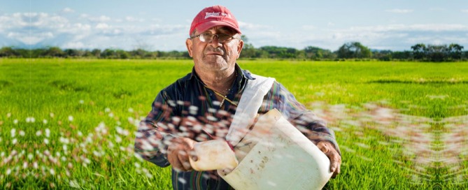 What can an old farmer teach you about goals