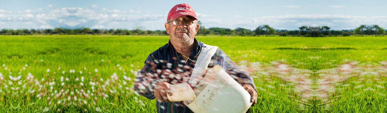 What can an old farmer teach you about goals