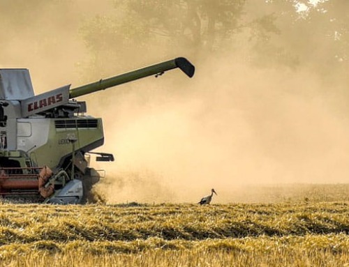 What you plant today you will harvest later
