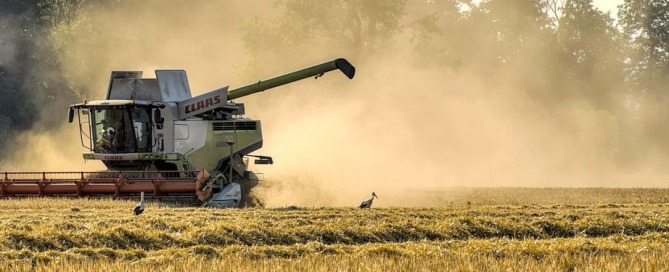 What you plant today you will harvest later