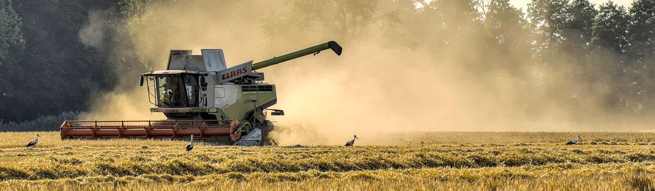 What you plant today you will harvest later
