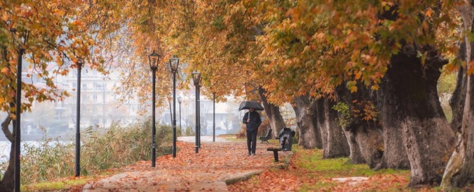 Where to start finding answers for the new year