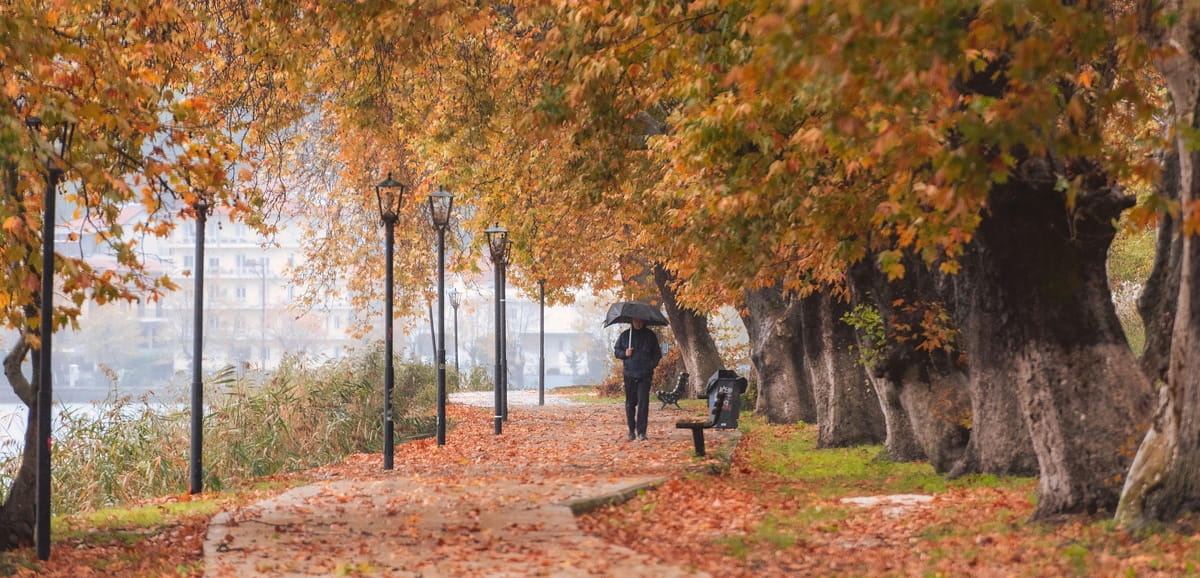 Where to start finding answers for the new year