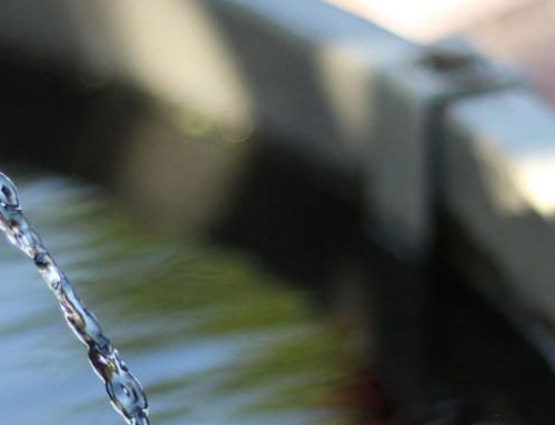 Capacity vs. Throughput: Why Getting Things Done Has Stalled for You