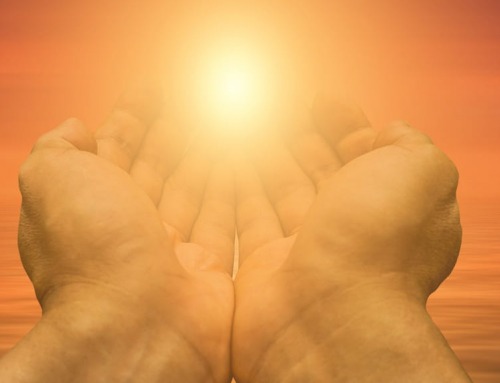 Start the new year with a grateful heart