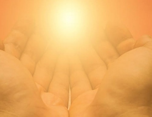 Start the new year with a grateful heart